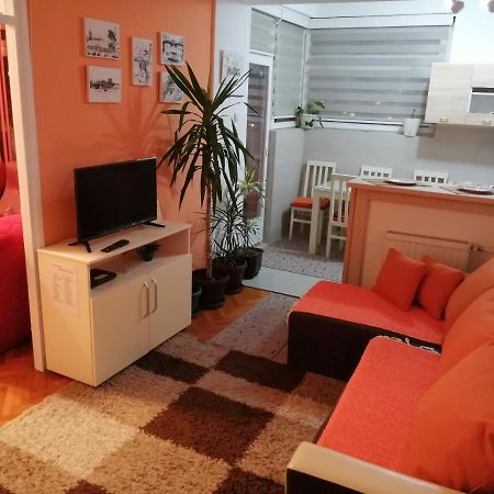 Apartman Dunja Apartment Враня Екстериор снимка